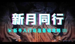 新月同行最新爆料,最新爆料背后的惊人真相