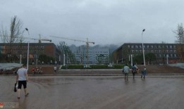 宜宾学校爆料事件的最新进展,真相逐步浮出水面，家长学生权益再引关注